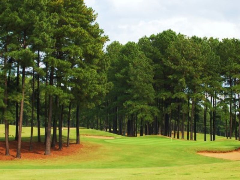 Caswell Pines Golf Club